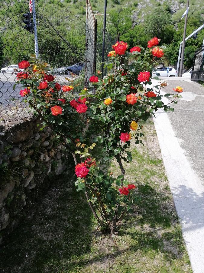 Apartmani Taki Mostar Extérieur photo